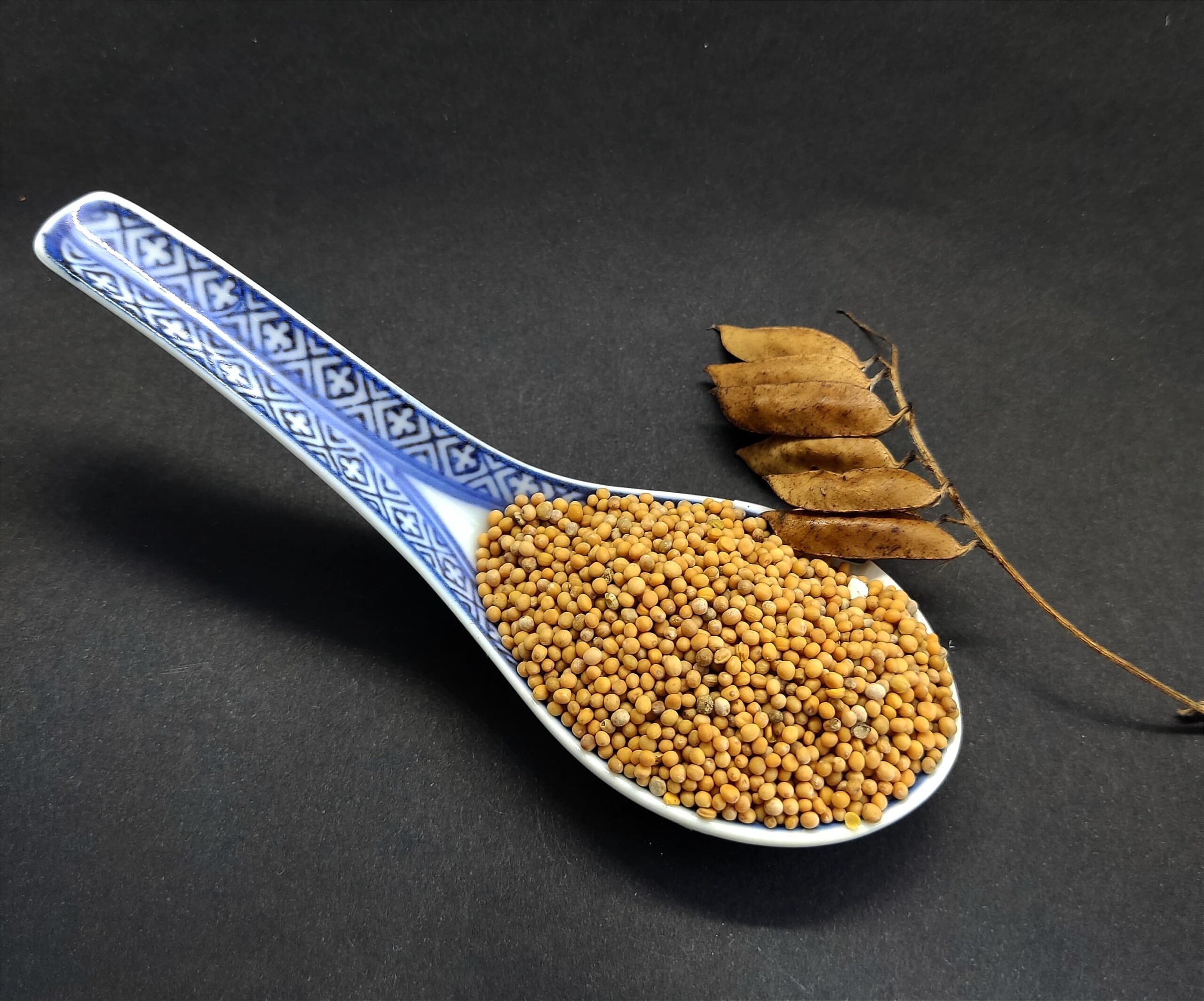 Gorczyca biała 100 g