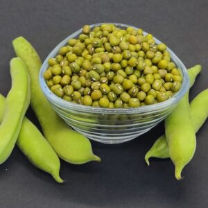 Fasola mung