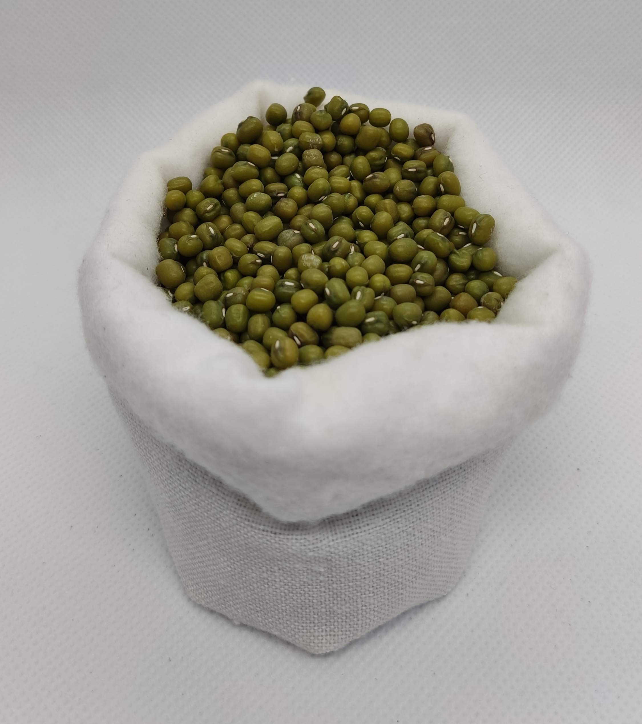 Fasola mung - obrazek 2